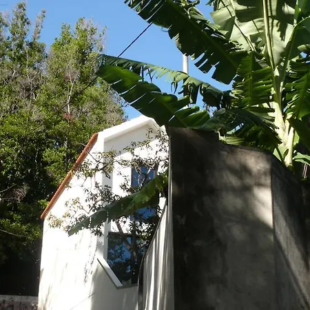 The Loft Junction Apartment Funchal  Exterior photo